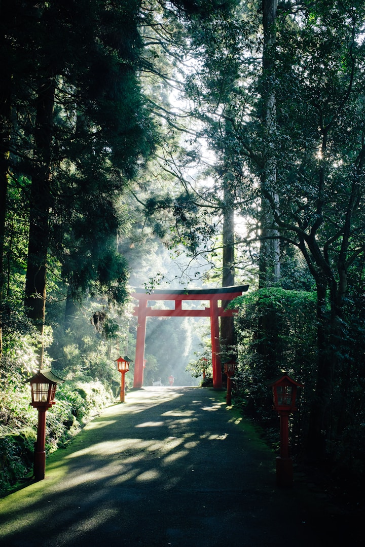 Rotes Torii an einem ruhigen Waldweg